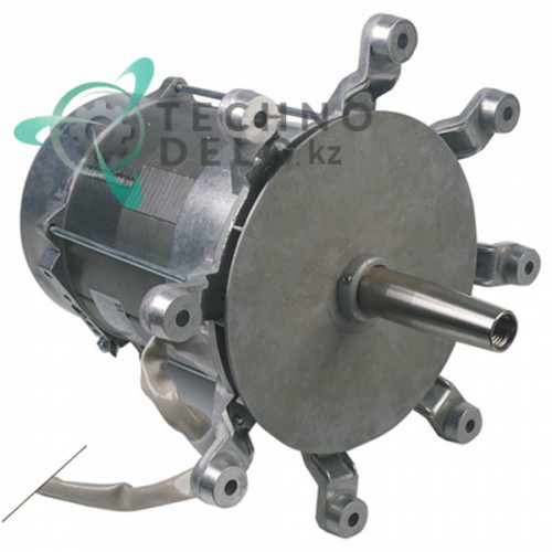 Мотор Hanning L9zw84D-212 X2 (380-415В 240/1200Вт) 3100.1001 для Rational CCC102, CCM102 и др.