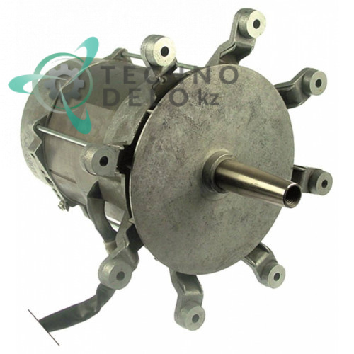 Мотор Hanning L9UWID-13 Y/YY (230В резьба M14R) 0K2716 для печи Electrolux Professional, Juno